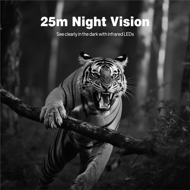 BTLIFE - Kamera do monitoringu – Trail Camera Infrared recenzja i cena